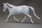 carousel chooser