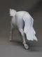 carousel chooser